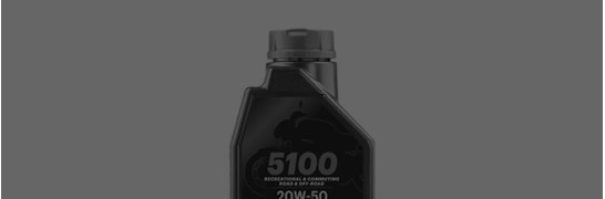 MOTUL 5100 MA2 4T L