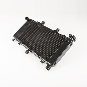 Arlows OEM style water cooler Yamaha FZ6 600 04-10 RJ14