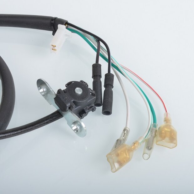 Arlows Lichtmaschine Honda XR400 96- XR650 L 93- XR650 R 00-07 Stator Generator